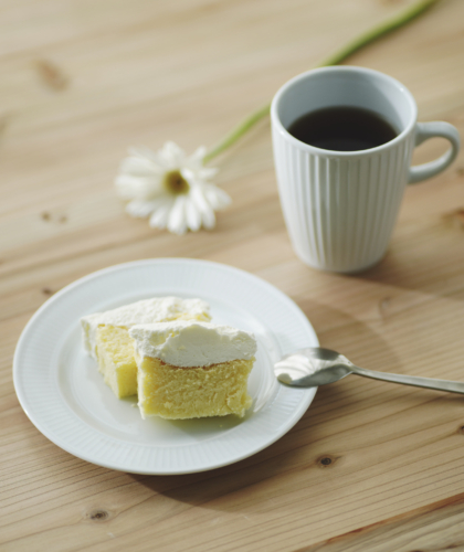 とろける生チーズケーキ　プレーン